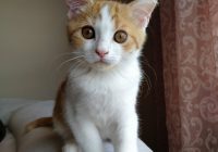 Risale Dersi 1097: Mesnevi-i Nuriye 108 (4k) Risale Dersi 1097: Mesnevi-i Nuriye 108 (4k)