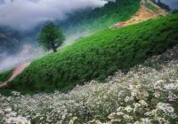 Risale Dersi 1101: Mesnevi-i Nuriye 112 (4k) Risale Dersi 1101: Mesnevi-i Nuriye 112 (4k)