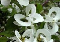 Risale Dersi 1102: Mesnevi-i Nuriye 113 (4k) Risale Dersi 1102: Mesnevi-i Nuriye 113 (4k)