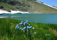 Risale Dersi 1104: Mesnevi-i Nuriye 115 (4k) Risale Dersi 1104: Mesnevi-i Nuriye 115 (4k)