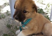 Risale Dersi 1105: Mesnevi-i Nuriye 116 (4k) Risale Dersi 1105: Mesnevi-i Nuriye 116 (4k)