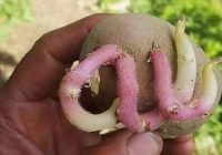 Risale Dersi 1114: Mesnevi-i Nuriye 125 (4k) Risale Dersi 1114: Mesnevi-i Nuriye 125 (4k)