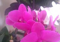 Risale Dersi 1125: Mesnevi-i Nuriye 136 (4k) Risale Dersi 1125: Mesnevi-i Nuriye 136 (4k)