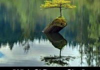 Risale Dersi 1127: Mesnevi-i Nuriye 138 (4k) Risale Dersi 1127: Mesnevi-i Nuriye 138 (4k)