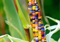 Risale Dersi 1132: Mesnevi-i Nuriye 143 (4k) Risale Dersi 1132: Mesnevi-i Nuriye 143 (4k)