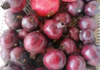 Risale Dersi 1161: Sikke-i Tasdik-i Gaybi 5 (4k) Risale Dersi 1161: Sikke-i Tasdik-i Gaybi 5 (4k)