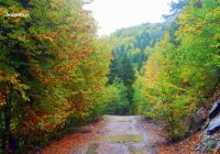 Risale Dersi 1162: Sikke-i Tasdik-i Gaybi 6 (4k) Risale Dersi 1162: Sikke-i Tasdik-i Gaybi 6 (4k)