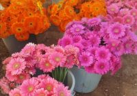 Risale Dersi 1166: Sikke-i Tasdik-i Gaybi 10 (4k) Risale Dersi 1166: Sikke-i Tasdik-i Gaybi 10 (4k)