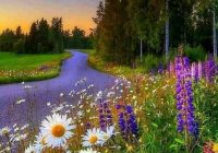 Risale Dersi 1167: Sikke-i Tasdik-i Gaybi 11 (4k) Risale Dersi 1167: Sikke-i Tasdik-i Gaybi 11 (4k)