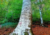 Risale Dersi 1171: Sikke-i Tasdik-i Gaybi 15 (4k) Risale Dersi 1171: Sikke-i Tasdik-i Gaybi 15 (4k)