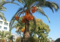 Risale Dersi 1175: Sikke-i Tasdik-i Gaybi 19 (4k) Risale Dersi 1175: Sikke-i Tasdik-i Gaybi 19 (4k)