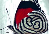 Risale Dersi 1177: Sikke-i Tasdik-i Gaybi 21 (4k) Risale Dersi 1177: Sikke-i Tasdik-i Gaybi 21 (4k)