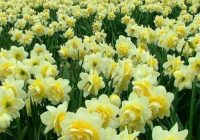 Risale Dersi 1178: Sikke-i Tasdık-ı Gaybi 22 (4k) Risale Dersi 1178: Sikke-i Tasdık-ı Gaybi 22 (4k)