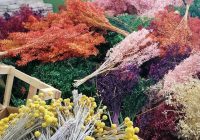 Risale Dersi 1184:Sikke-i Tasdık-ı Gaybi 28(4k) Risale Dersi 1184:Sikke-i Tasdık-ı Gaybi 28(4k)