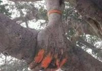 Risale Dersi 1190: Sikke-i Tasdık-i Gaybi 34 (4k) Risale Dersi 1190: Sikke-i Tasdık-i Gaybi 34 (4k)