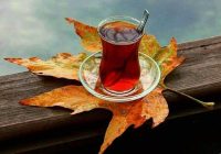 Risale Dersi 1192: Sikke-i Tasdık-i Gaybi 36 (4k) Risale Dersi 1192: Sikke-i Tasdık-i Gaybi 36 (4k)