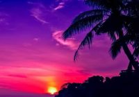 Risale Dersi 1193: Sikke-i Tasdik-i Gaybi 37 (4k) Risale Dersi 1193: Sikke-i Tasdik-i Gaybi 37 (4k)