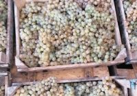 Risale Dersi 1194: Sikke-i Tasdık-i Gaybi 38 (4k) Risale Dersi 1194: Sikke-i Tasdık-i Gaybi 38 (4k)