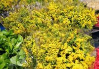 Risale Dersi 1233: Sikke-i Tasdık-i Gaybi 77 (4k) Risale Dersi 1233: Sikke-i Tasdık-i Gaybi 77 (4k)