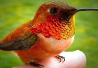 Risale Dersi 1234: Sikke-i Tasdik-i Gaybi 78 (4k) Risale Dersi 1234: Sikke-i Tasdik-i Gaybi 78 (4k)