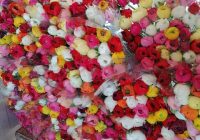 Risale Dersi 1235: Sikke-i Tasdik-i Gaybi 79 (4k) Risale Dersi 1235: Sikke-i Tasdik-i Gaybi 79 (4k)