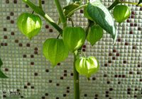 Risale Dersi 1239: Sikke-i Tasdik-i Gaybi 83 (4k) Risale Dersi 1239: Sikke-i Tasdik-i Gaybi 83 (4k)