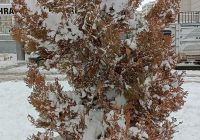 Risale Dersi 1245: Sikke-i Tasdik-i Gaybi 89 (4k) Risale Dersi 1245: Sikke-i Tasdik-i Gaybi 89 (4k)