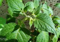 Risale Dersi 1241: Sikke-i Tasdik-i Gaybi 85 (4k) Risale Dersi 1241: Sikke-i Tasdik-i Gaybi 85 (4k)