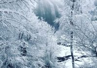 Risale Dersi 1243: Sikke-i Tasdik-i Gaybi 87 (4k) Risale Dersi 1243: Sikke-i Tasdik-i Gaybi 87 (4k)