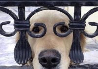 Risale Dersi 1246: Sikke-i Tasdik-i Gaybi 91 (4k) Risale Dersi 1246: Sikke-i Tasdik-i Gaybi 91 (4k)