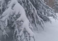 Risale Dersi 1251: Sikke-i Tasdık-i Gaybi 96 (4k) Risale Dersi 1251: Sikke-i Tasdık-i Gaybi 96 (4k)