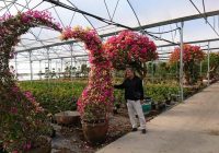 Risale Dersi 1254: Sikke-i Tasdik-i Gaybi 99 (4k) Risale Dersi 1254: Sikke-i Tasdik-i Gaybi 99 (4k)