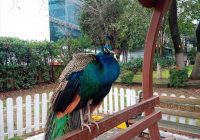 Risale Dersi 1256: Sikke-i Tasdik-i Gaybi 101 (4k) Risale Dersi 1256: Sikke-i Tasdik-i Gaybi 101 (4k)