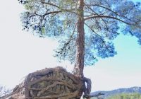 Risale Dersi 1263: Sikke-i Tasdik-i Gaybi 108 (4k) Risale Dersi 1263: Sikke-i Tasdik-i Gaybi 108 (4k)