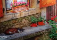 Risale Dersi 1266: Sikke-i Tasdık-i Gaybi 111 (4k) Risale Dersi 1266: Sikke-i Tasdık-i Gaybi 111 (4k)