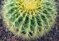 Risale Dersi 1267: Sikke-i Tasdik-i Gaybi 112 (4k) Risale Dersi 1267: Sikke-i Tasdik-i Gaybi 112 (4k)