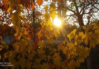 Risale Dersi 1268: Sikke-i Tasdik-i Gaybi 113 (4k) Risale Dersi 1268: Sikke-i Tasdik-i Gaybi 113 (4k)