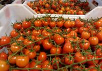 Risale Dersi 1247: Sikke-i Tasdık-i Gaybi 92 (4k) Risale Dersi 1247: Sikke-i Tasdık-i Gaybi 92 (4k)