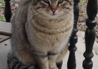 Risale Dersi 1269: Sikke-i Tasdık-i Gaybi 114 (4k) Risale Dersi 1269: Sikke-i Tasdık-i Gaybi 114 (4k)