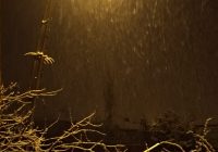 Risale Dersi 1270: Sikke-i Tasdik-i Gaybi 115 (4k) Risale Dersi 1270: Sikke-i Tasdik-i Gaybi 115 (4k)