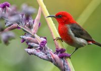 Risale Dersi 1275: Sikke-i Tasdik-i Gaybi 120 (4k) Risale Dersi 1275: Sikke-i Tasdik-i Gaybi 120 (4k)