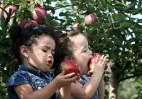 Risale Dersi 1276: Sikke-i Tasdık-i Gaybi 121 (4k) Risale Dersi 1276: Sikke-i Tasdık-i Gaybi 121 (4k)