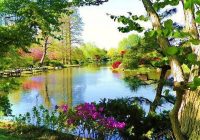 Risale Dersi 1292: İşaratü’l İ’caz 3 (4k) Risale Dersi 1292: İşaratü’l İ’caz 3 (4k)