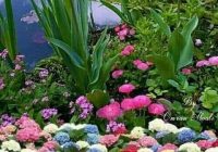 Risale Dersi 1300: İşaratü’l İ’caz 11 (4k) Risale Dersi 1300: İşaratü’l İ’caz 11 (4k)