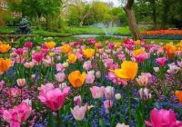 Risale Dersi 1301: İşaratü’l İ’caz 12 (4k) Risale Dersi 1301: İşaratü’l İ’caz 12 (4k)