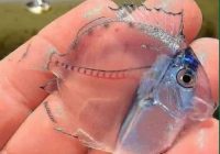 Risale Dersi 1309: İşaratü’l İ’caz 20 (4k) Risale Dersi 1309: İşaratü’l İ’caz 20 (4k)