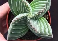 Risale Dersi 1310: İşaratü’l İ’caz 21 (4k) Risale Dersi 1310: İşaratü’l İ’caz 21 (4k)