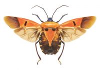 Risale Dersi 1295: İşaratü’l İ’caz 6 (4k) Risale Dersi 1295: İşaratü’l İ’caz 6 (4k)