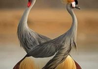 Risale Dersi 1350: İşaratü’l İ’caz 61 (4k) Risale Dersi 1350: İşaratü’l İ’caz 61 (4k)