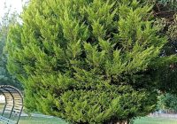 Risale Dersi 1355: İşaratü’l İ’caz 66 (4k) Risale Dersi 1355: İşaratü’l İ’caz 66 (4k)